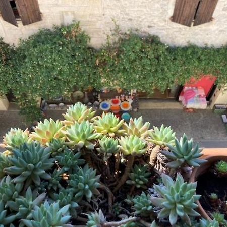 Superbe Appartement De Caractere Au Calme Aigues-Mortes Eksteriør bilde